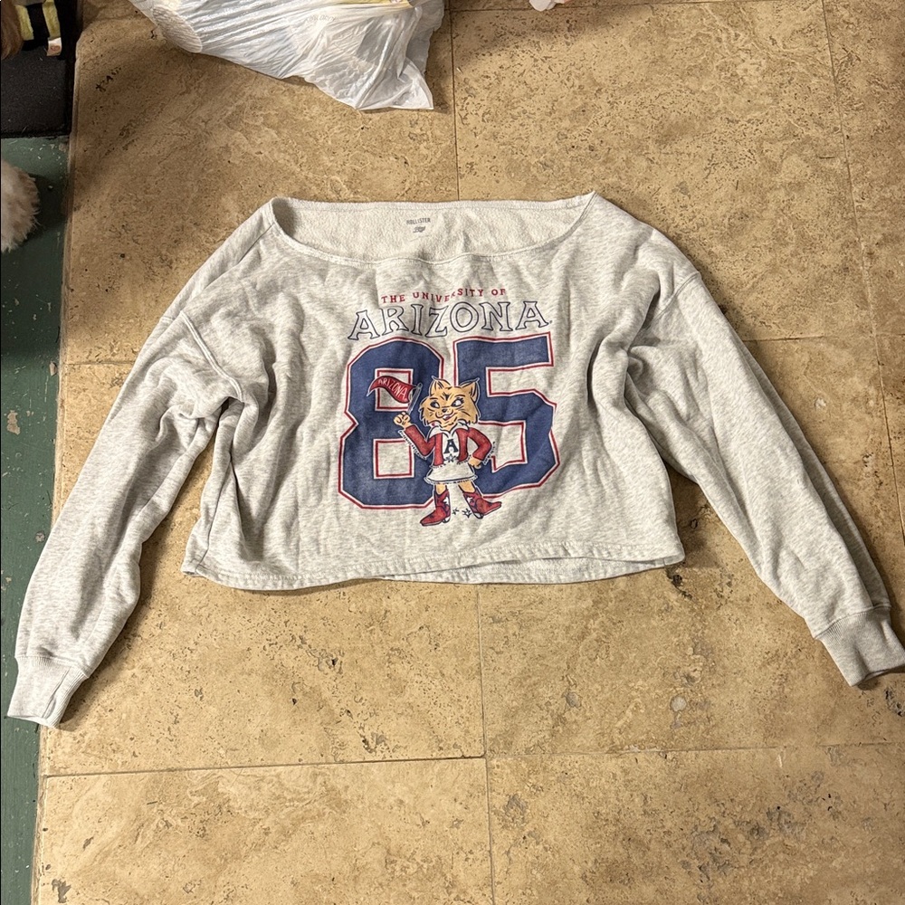 Hollister Gray Cropped Sweatshirt with Arizona Graphic